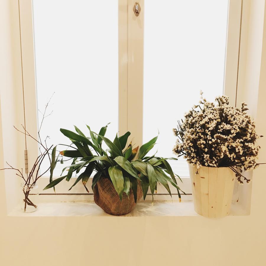 Supe Homestay Ho Şi Min Dış mekan fotoğraf